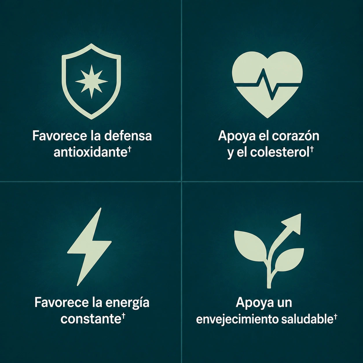 PureAmla+ by VYLL