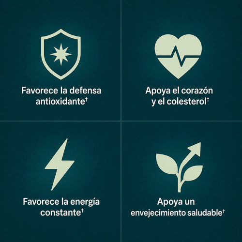 PureAmla+ by VYLL